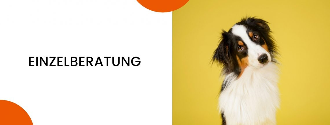 EINZELBERATUNG