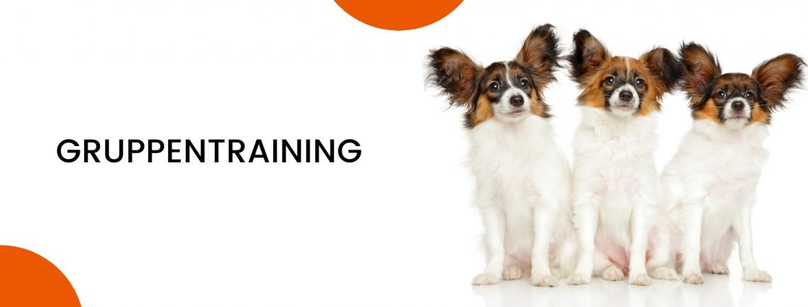 GRUPPENTRAINING